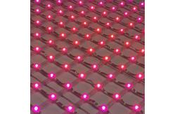 China Animation Led Mesh Screen Video Display Curtain IP65 10mm Pixel Pitch supplier