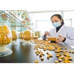 Remote Online After-sales Grain 3d Inspection Equipment for lab Analyzer