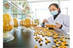 China Remote Online After-sales Grain 3d Inspection Equipment for lab Analyzer supplier
