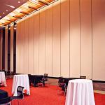 Floor to Ceiling Hanging System Movable Folding Internal Sliding Doors for sale