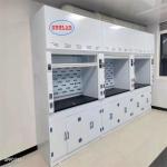 Low Noise Chemical Fume Hood PP Fume Hoods  - Voltage 220V White Color for sale