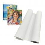 Polyester Matte Canvas Roll 210gsm Waterproof Pigment Dye Printing for EPSON Printers