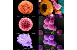 China 4.5 - 6nm High Magnification Scanning Microscope Electron Surface Topography Eco Sem supplier