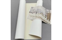China Factory Sale Inkjet Cotton Canvas 360gsm Art Printing Canvas Roll supplier