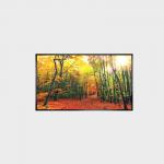 LCD Screen 43 Inch LCD Panel 1000nits resolutiong 3840*2160 LCMA-RX0430GL19-Z100 for sale