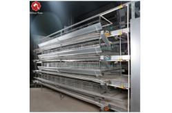 China H Shaped Small Stacked Layer Chicken Cage Can Be Customized supplier