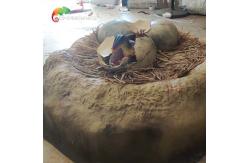 China High Simulation Jurassic Park Dinosaur Egg Hatches In Museum Customization supplier