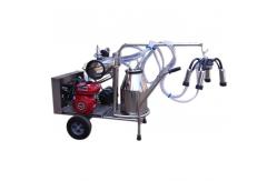 China 50KPa Single Bucket Trolley Milking Machine With Gasoline Engine supplier