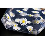 0.06mm Transparent LDPE Plastic Drawstring Bags