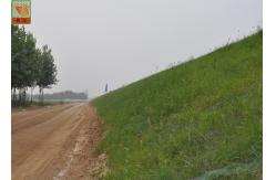 China High Strength Three Dimensional Geomat Erosion Control Netting 300g /Sqm supplier
