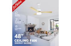 China Winter Season Smart Bldc Ceiling Fan With Light By Reversible Function supplier