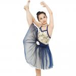 Ballet Dance Tutu Dress Competition Performance Wear Sweetheart Bodice Ballet Costume fairy princess for sale
