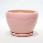 Easy To Clean Ceramic Pots For Plants Durable And Stylish Options