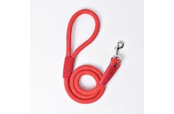 China Nylon Easy Walk Dog Leash PSM Dog Traction Rope For Small Teddy supplier