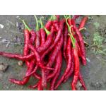 Anhydrous Xian Chilli Edible Dehydrating Cayenne Peppers Stemmed for sale