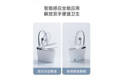 China Siphon Flushing Smart Flush Toilet One Piece Intelligent Self Washing supplier