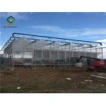 Hot Dipped Galvanized Steel 7.5m Polycarbonate Greenhouse for sale