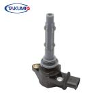 HOLDEN 3.6 Single Ignition Coil High Silicon Steel Sheet Standard Size 100% Tested for sale