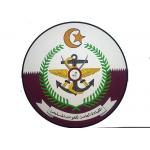 Round Shape Custom made Trophy , Raised Logo Metal Army Badge Coin for sale