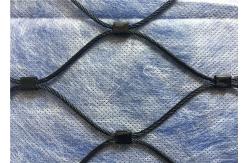 China Rust Resistant Aviary Wire Netting , Black Oxide Stainless Steel Bird Wire Mesh supplier
