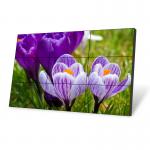 1.8mm Narrow Bezel CVBS 700cd/m2 LCD Video Wall 185W for sale