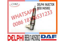 China Fuel Injector Assembly BEBJ1A05002 BEBJ1A00202 BEBJ1A05001 1905001 1846419 1905002 supplier