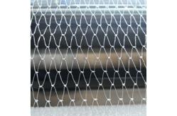 China 2mm Opening Heavy Duty Bird Netting For Orchards  Chinlon Material supplier