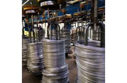 China Hot Dipped Galvanized Wire Rod Round Q195 Low Carbon Wire 26mm supplier