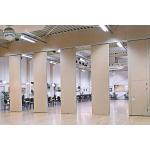 85mm Thickness Movable Sliding Folding Acoustic Wall With Passing Door for sale