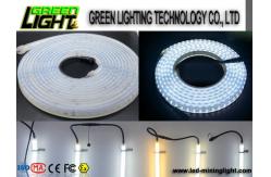 China Silicone 12w Ip68 SMD5050 Flexible Led Light Strips supplier