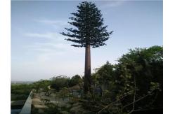 China Landscaping Camouflage Pine Monopole Antenna Tower Artificial supplier