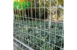 China Easy-installed Portable Galvanized Canada Temporary Fence For Construction Site supplier