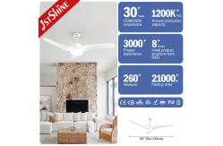 China Lighting Solutions Service 52-inch Simple Plastic Ceiling Fan Remote Control 3 Speeds supplier