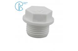 China Convenient Installation Square PPR Plastic White Pipe Thread Plug supplier