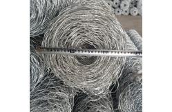 China Galvanized Iron Wire Mesh  Basket Gabion Box Retaining Wall supplier