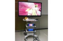 China Medical Endoscope Monitor Camera With Screen 55inch supplier