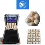 High Efficiency Egg Date Stamp Machine , Small Date Format Egg Spraying Machine