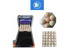 China High Efficiency Egg Date Stamp Machine , Small Date Format Egg Spraying Machine supplier