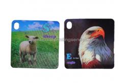 China 3D Flash Card Lenticular 3d Pictures Animal Design For Kids Gift supplier