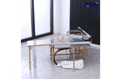 China OEM Multifunctional Precision Dust Free Push Table Saw Cutting Machine supplier