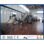 5 - 50 T/H Mango Processing Plant With Mango Pulp Machine ISO9001 / CE / SGS for sale