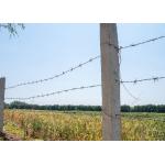 Double Strand Reverse Twist PVC Coated Iron Security Barbed Wire For Enhanced Security for sale