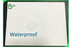 China Environmental Friendly 120gr 200gr Limestone Paper For Making Notebook supplier