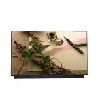 RGB Vertical Stripe B156ZAN05.0 120HZ EDP 40pin 4K UHD 15.6 slim 3840x2160 laptop lcd screen for sale