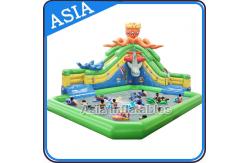 China Outdoor  Inflatable Water Park Slide With Swimming Pool , Inflatable Aviva Water Park supplier