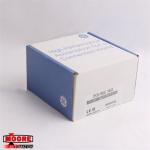 IC695CPE310  GE  Central Processing Unit