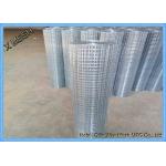 Industrial Aviary 1  Electro / Hot Dipped Galvanized Welded Wire Mesh for sale