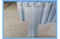 China Industrial Aviary 1  Electro / Hot Dipped Galvanized Welded Wire Mesh supplier