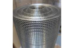 China Hot Dipped Galvanized Iron Welded Wire Mesh Roll Bird Cage Chicken Pens supplier