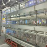A-Type Q235 Steel Baby Chicken Cage With Hot Galvanized Wire Mesh for sale